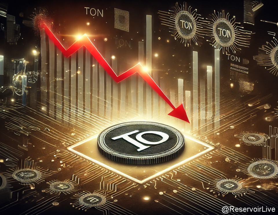 Les plus grands jetons TON ont chuté de 50 % : Voici les raisons possibles